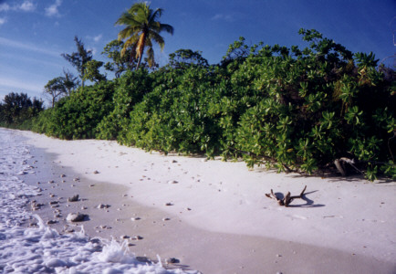 Diego Garcia beach